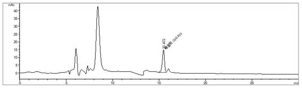 Recombinant escherichia coli for producing L-valine and application thereof