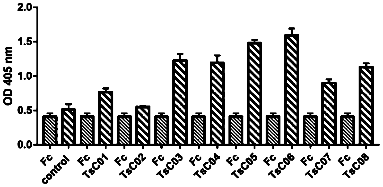 Monoclonal antibody against TSPAN8 and application of monoclonal antibody against TSPAN8