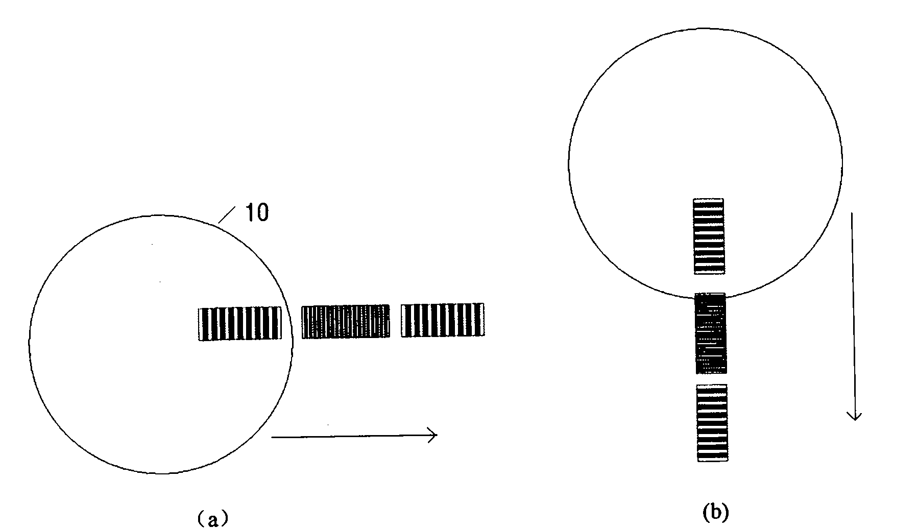 Alignment light source apparatus