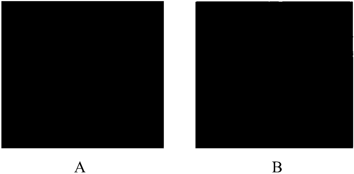 EEG analysis system used in electromagnetic radiation environment