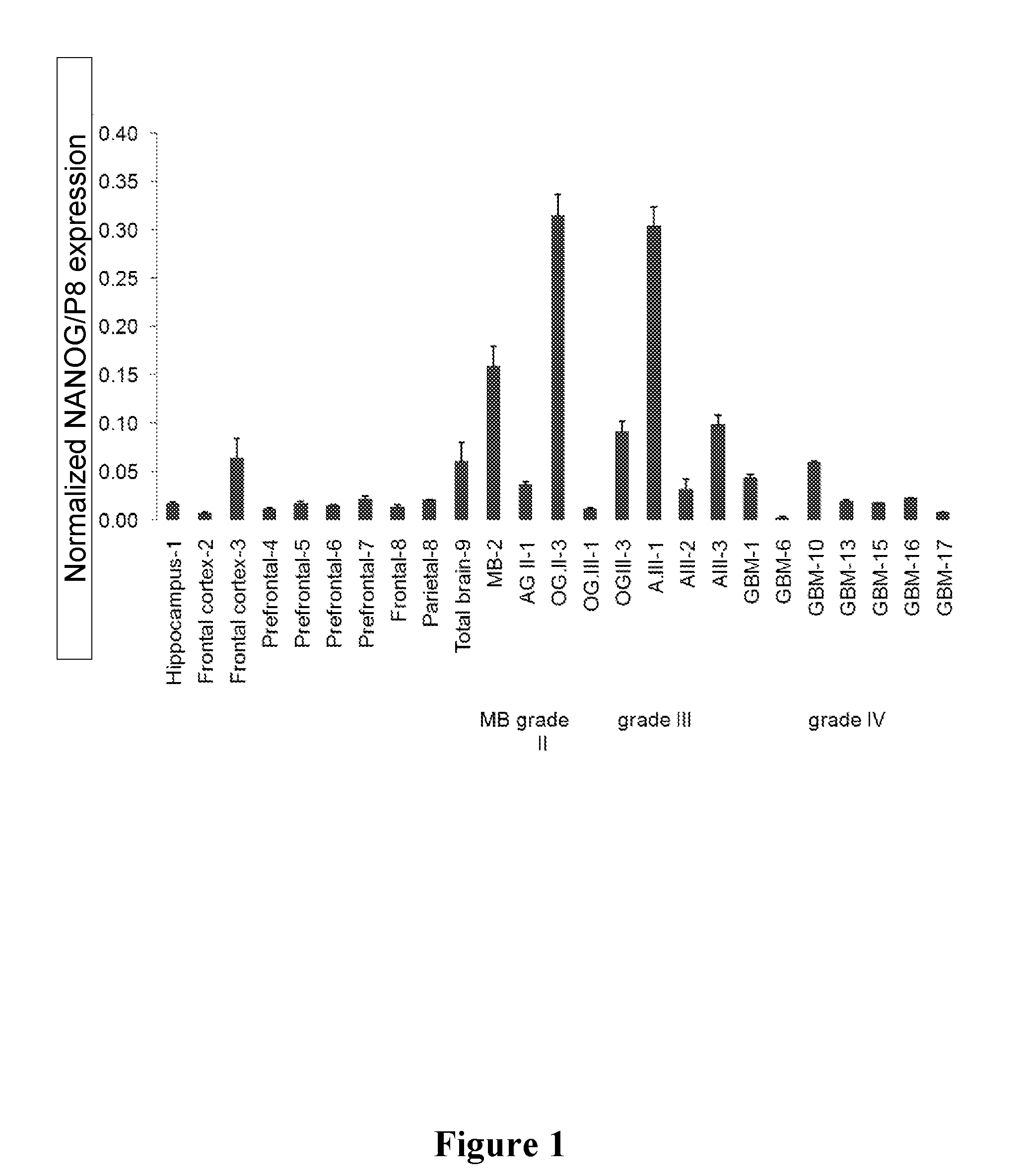 Uses of NANOG inhibitors and related methods