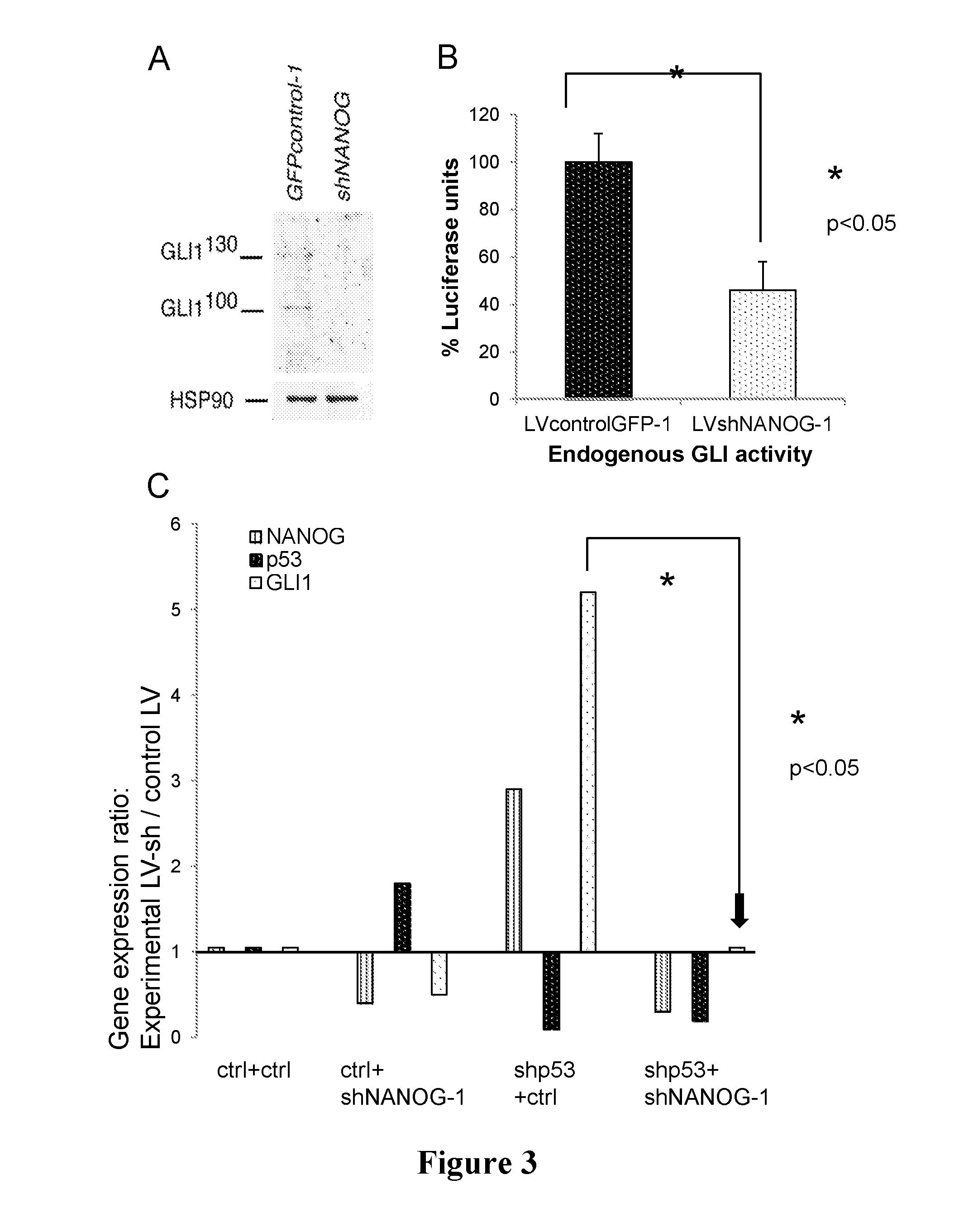 Uses of NANOG inhibitors and related methods