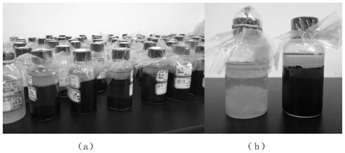 Caproic acid bacterium proliferation culture medium and caproic acid fermentation and caproic acid bacterium screening method