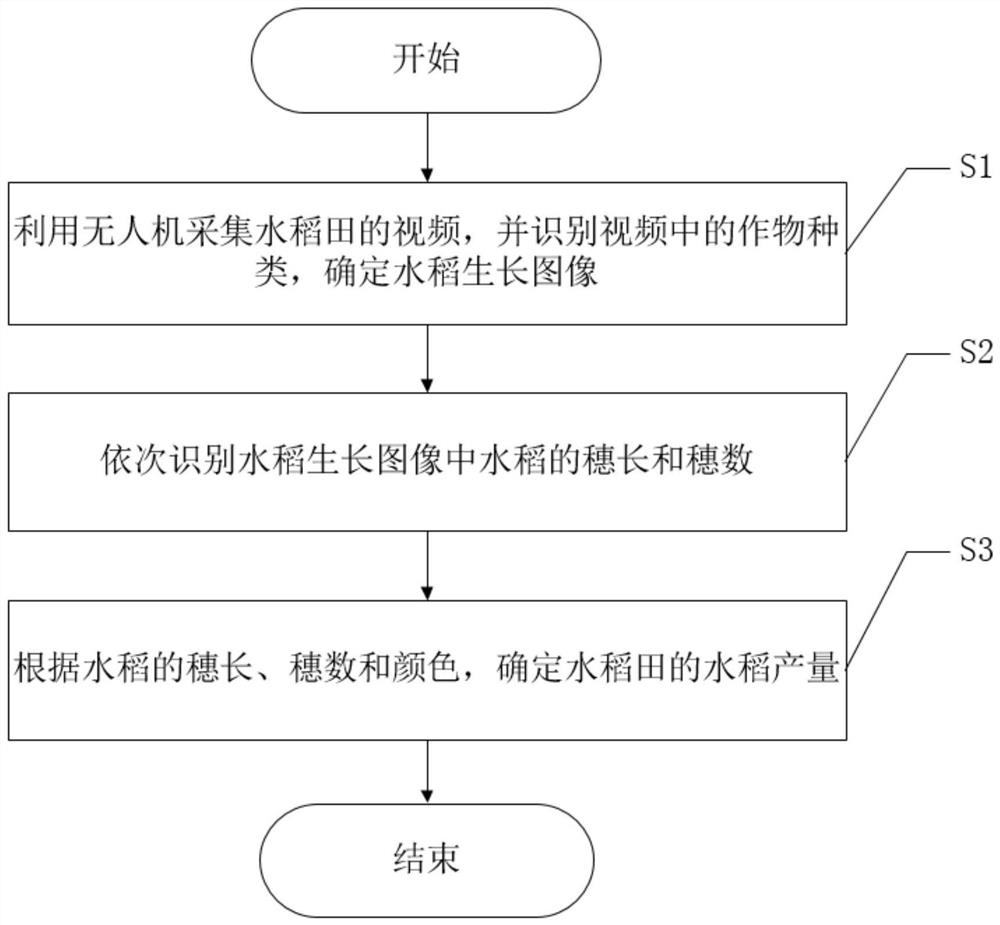 Rice yield prediction method based on visual analysis