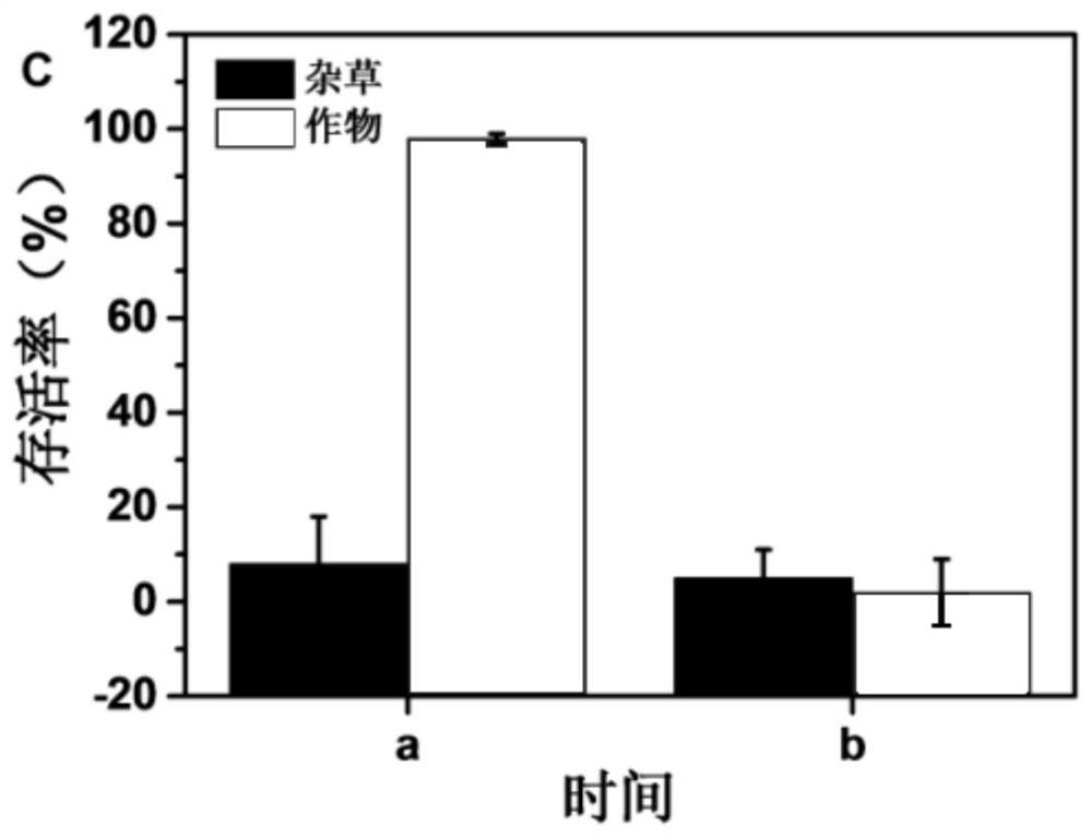 Construction method of gel-based pesticide system for controlled release and migration driven by electricity, constructed pesticide system and its application