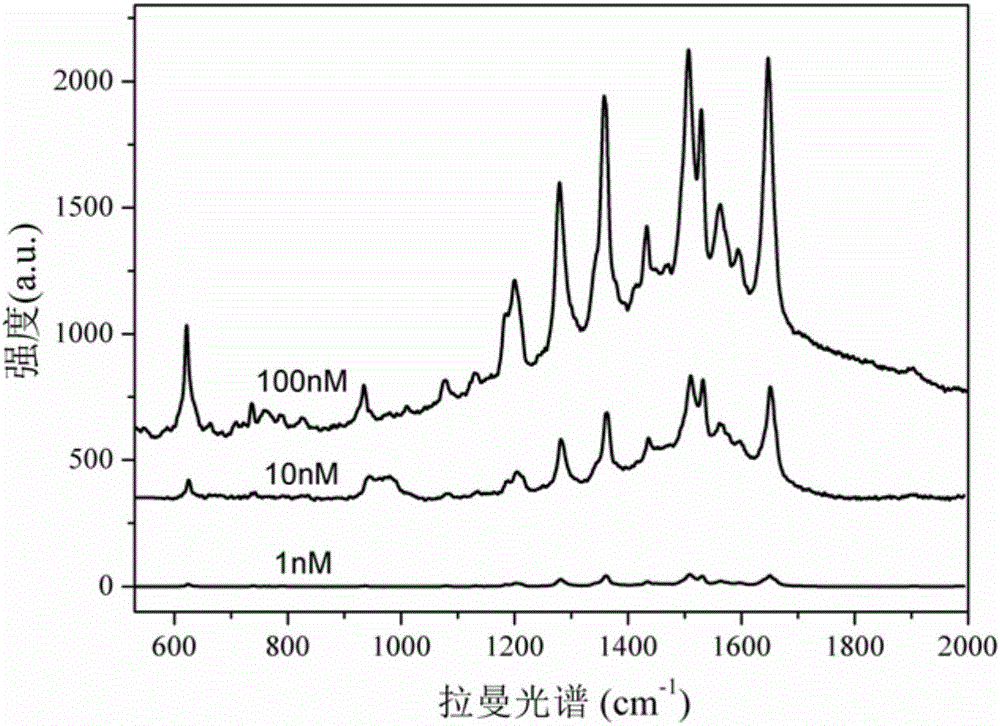 Micro-fluidic chip based on SERS detection, preparation method and application thereof