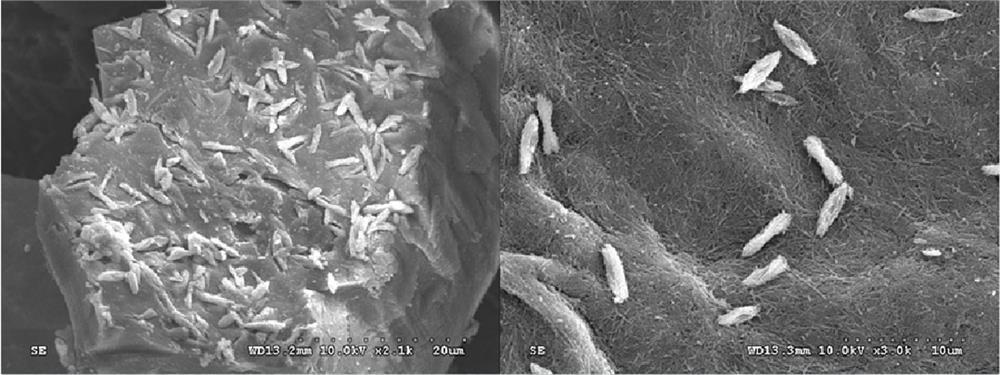 A kind of metal organogel and preparation method thereof and utilize this metal organogel to al  <sup>3+</sup> Visual detection method