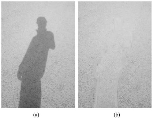 A single-image shadow removal method based on adaptive light transfer based on block matching