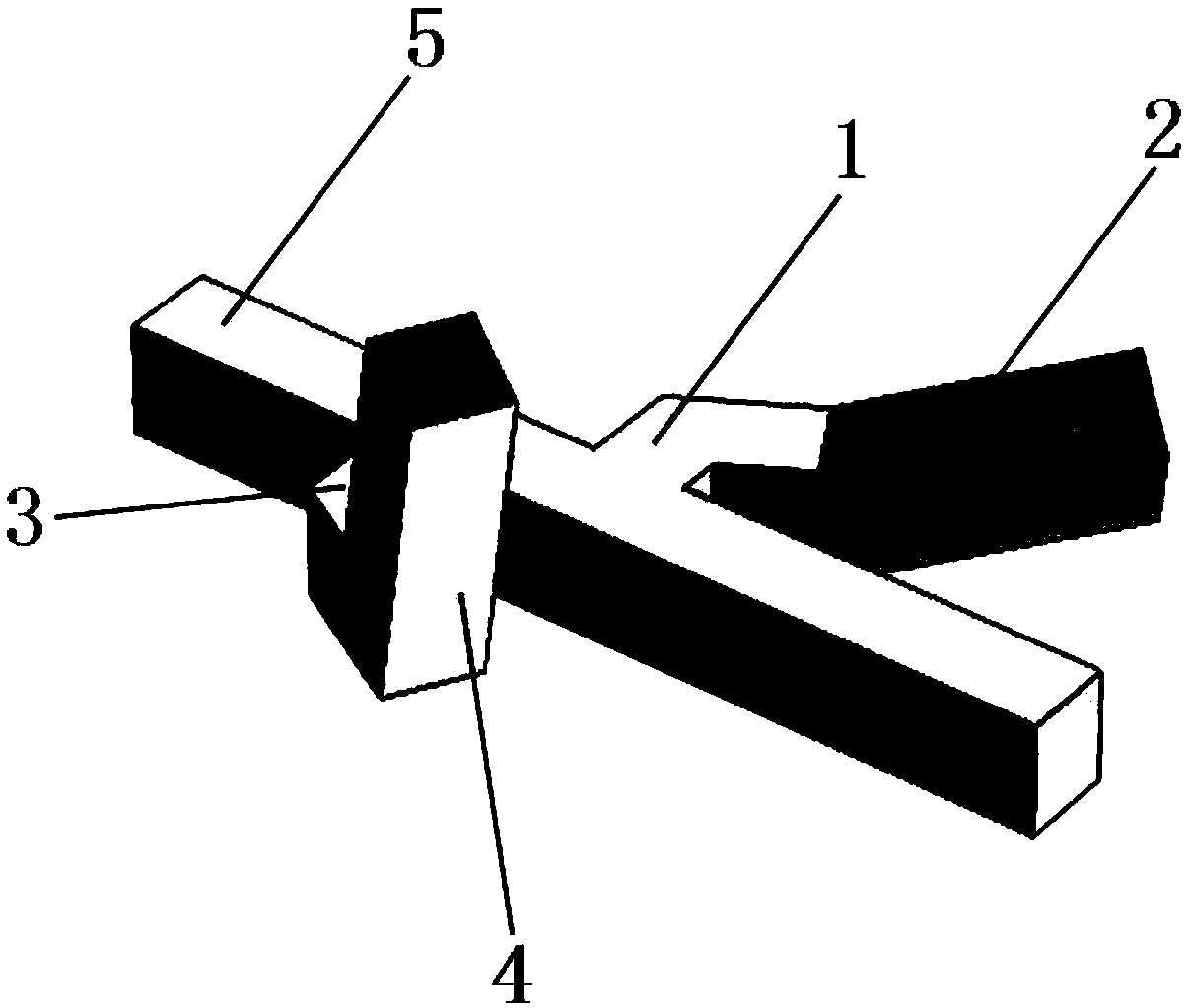 Y-shaped micro-nano structure