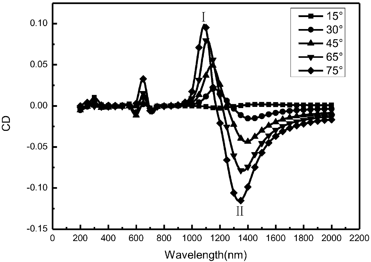 Y-shaped micro-nano structure