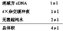 Calmodulin gene and application thereof