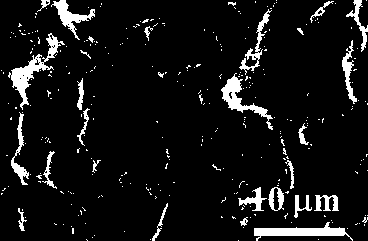 Preparation method and application of polyaniline nanowire array/three-dimensional graphene