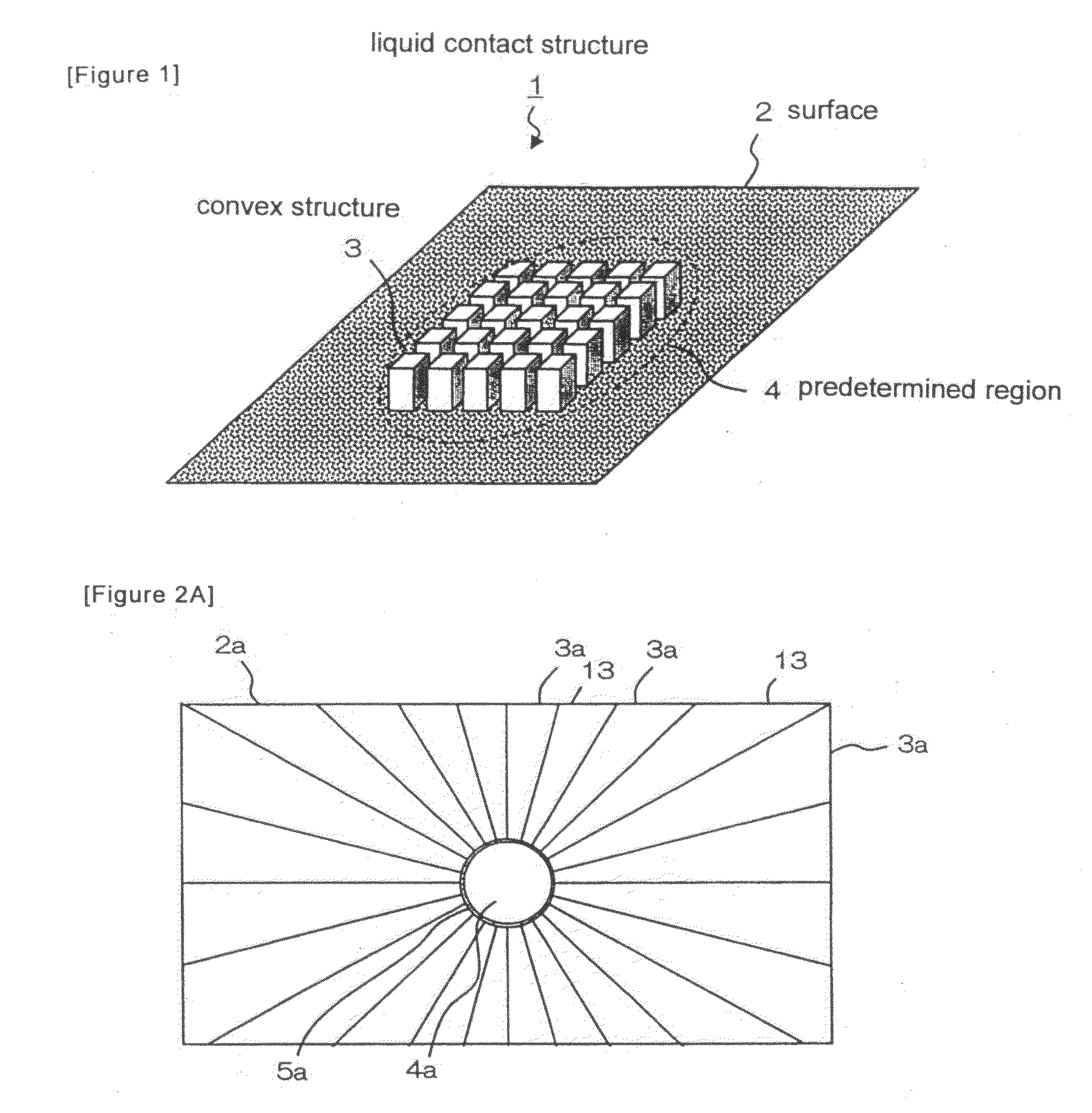 Liquid Contact Structure, Structure for Controlling Movement of Liquid and Method of Controlling Movement of Liquid