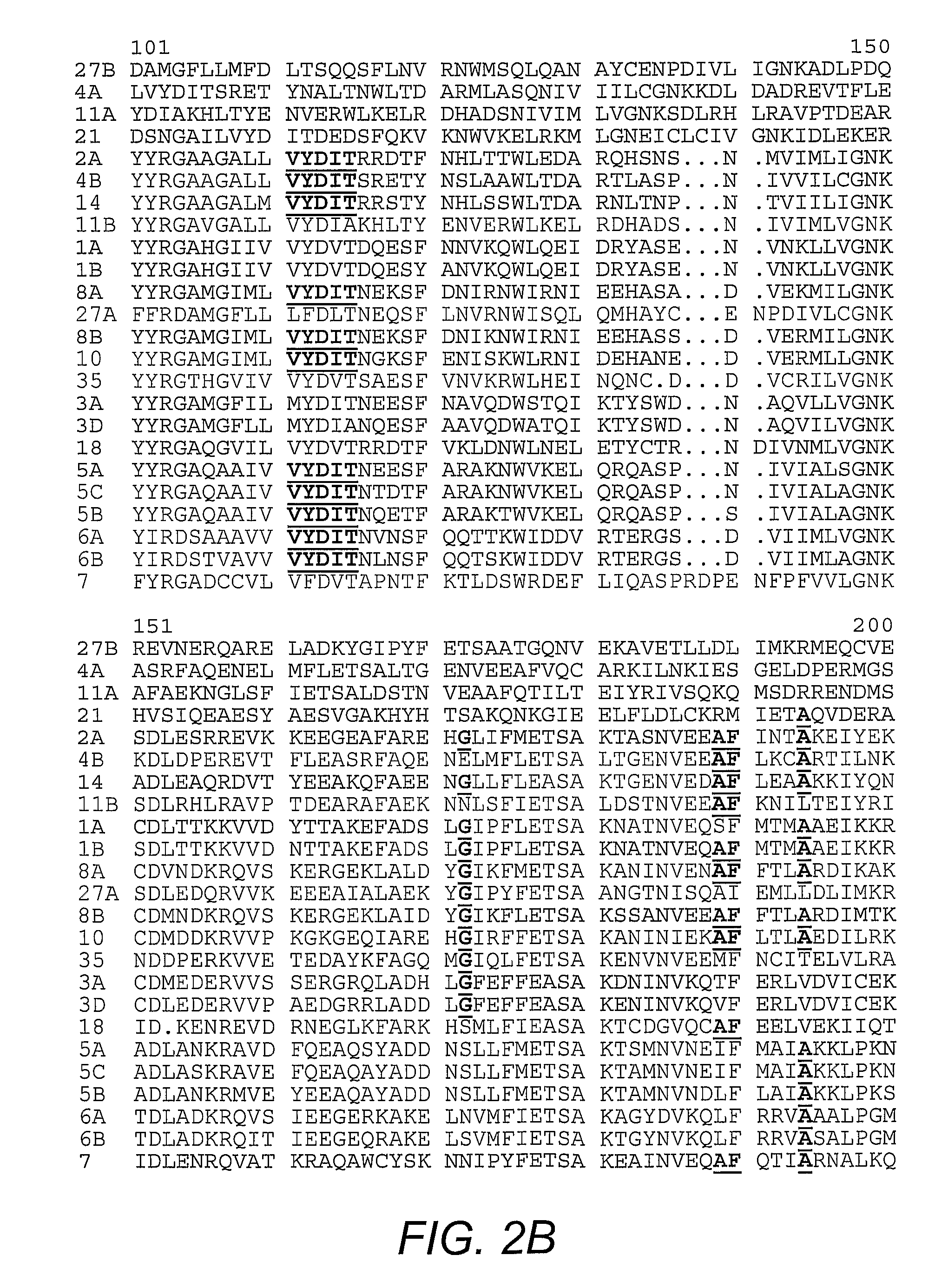 Method for identifying agents which modulate GTPase activity involved in insulin-stimulated GLUT4 translocation