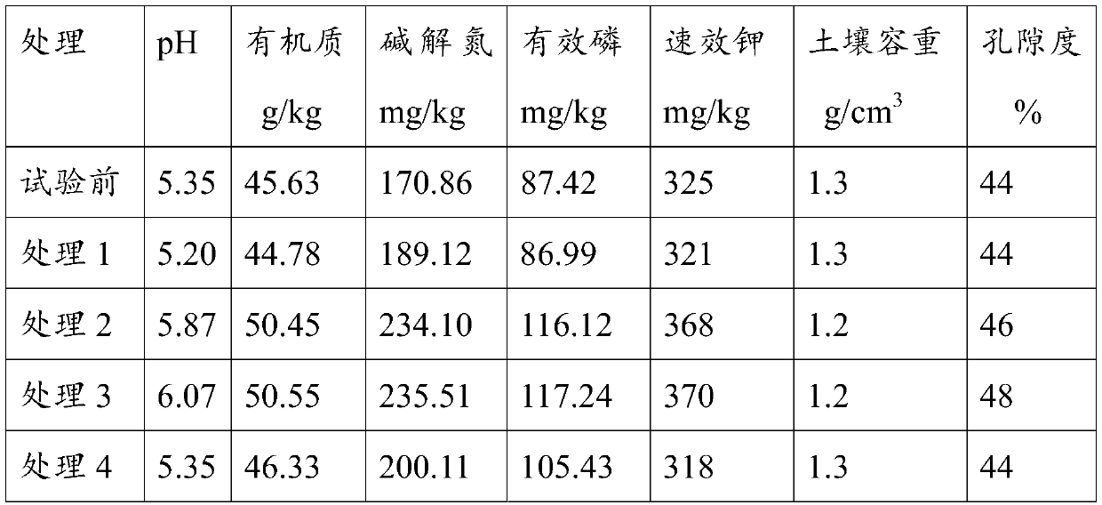 Acidified hardened soil restoring bacterial agent as well as preparation method and application method thereof