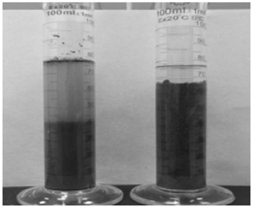 Acidified hardened soil restoring bacterial agent as well as preparation method and application method thereof