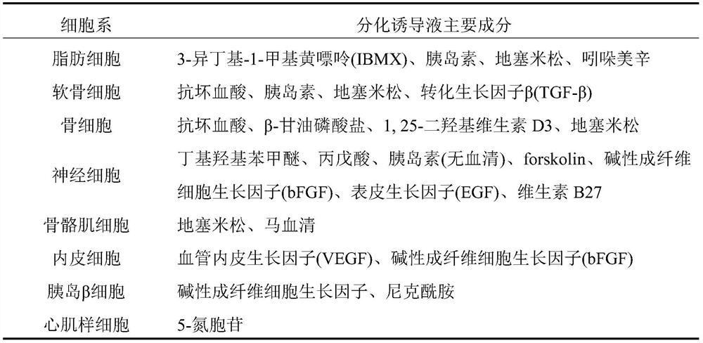 A high-efficiency inducing differentiation agent and inducing differentiation medium for adipose stem cells