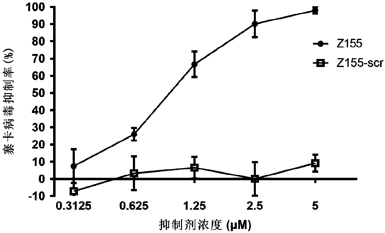 Polypeptide capable of inhibiting infection of Zika virus, dengue virus and yellow fevervirus and application of polypeptide