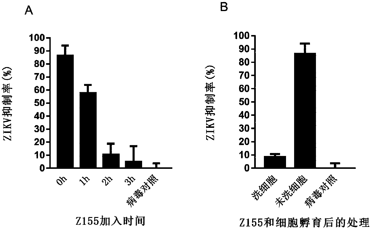 Polypeptide capable of inhibiting infection of Zika virus, dengue virus and yellow fevervirus and application of polypeptide