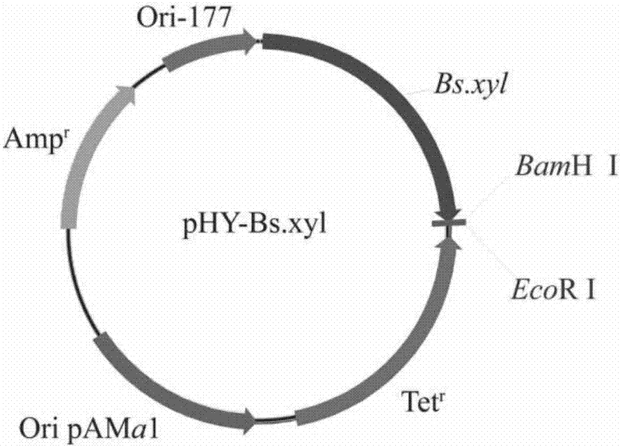 Proline-4-hydroxylase and application of recombinant expressing host cells of proline-4-hydroxylase