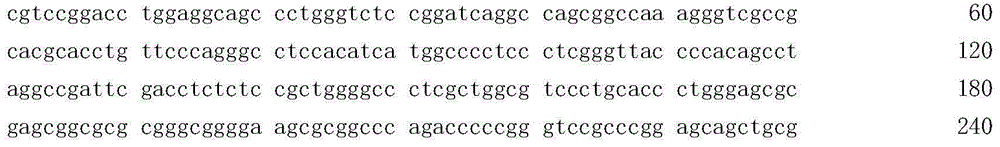 Human TERT gene rs2853669-locus polymorphism investigation technology