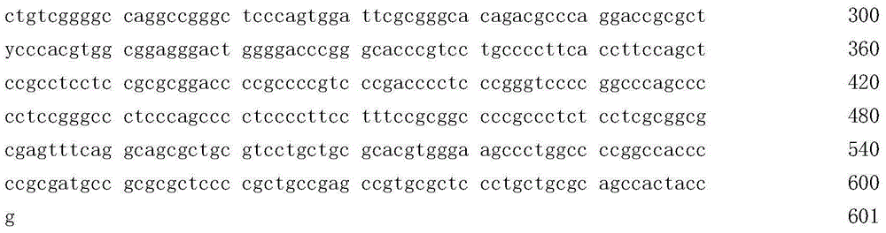 Human TERT gene rs2853669-locus polymorphism investigation technology