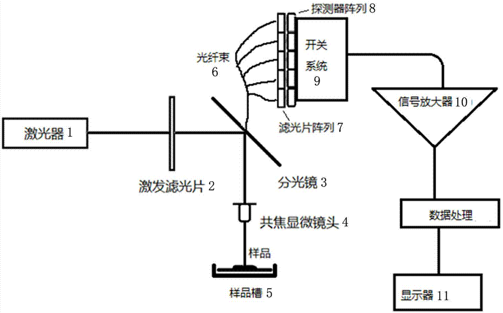 Portable light filter type Raman spectrometer for measuring protein adulteration in milk or milk powder