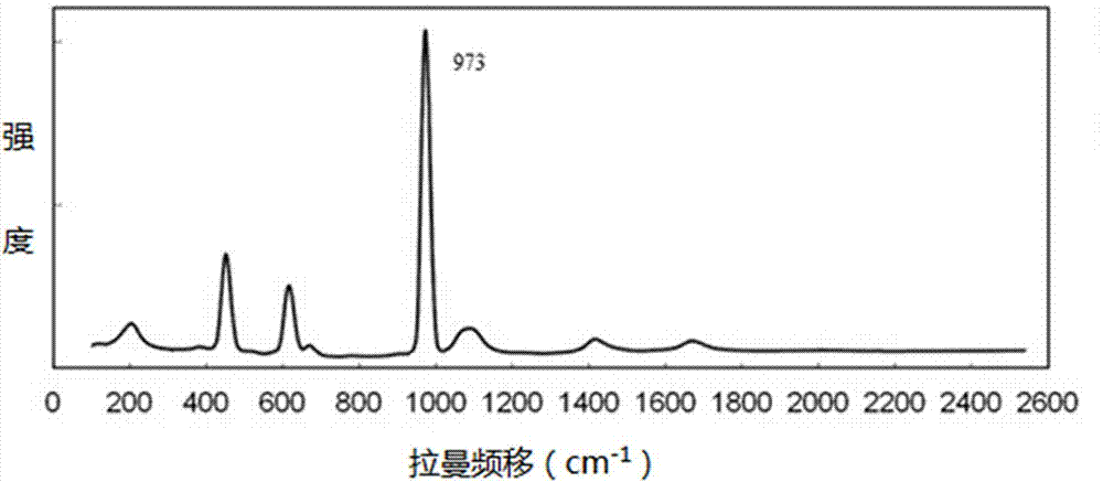 Portable light filter type Raman spectrometer for measuring protein adulteration in milk or milk powder