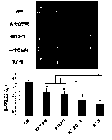 Anti-cancer pharmaceutical composition