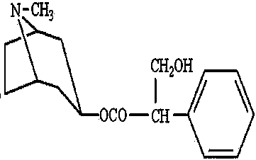 Extraction method of hyoscyamine