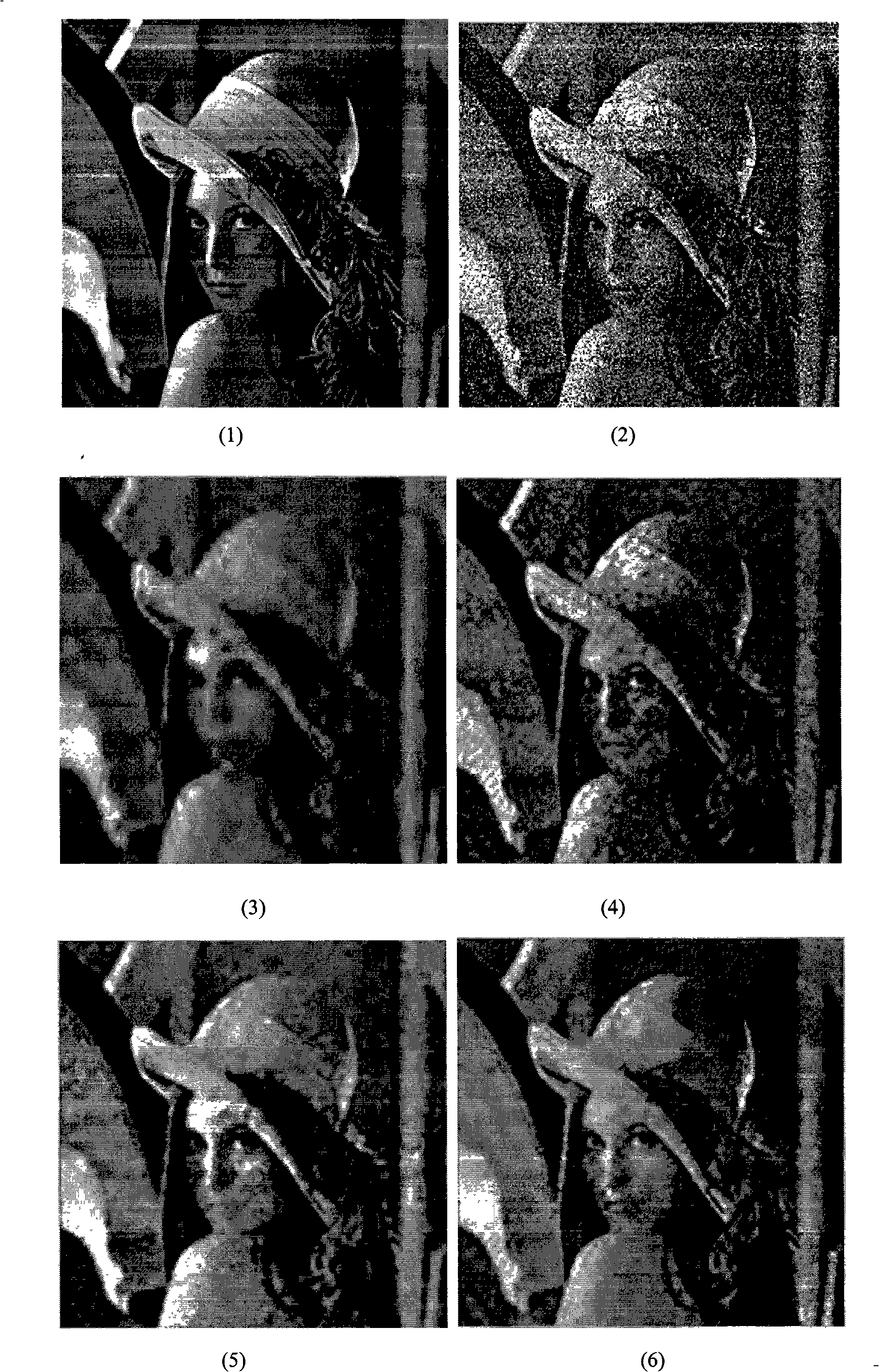 Wavelet and small curve fuzzy self-adapting conjoined image denoising method
