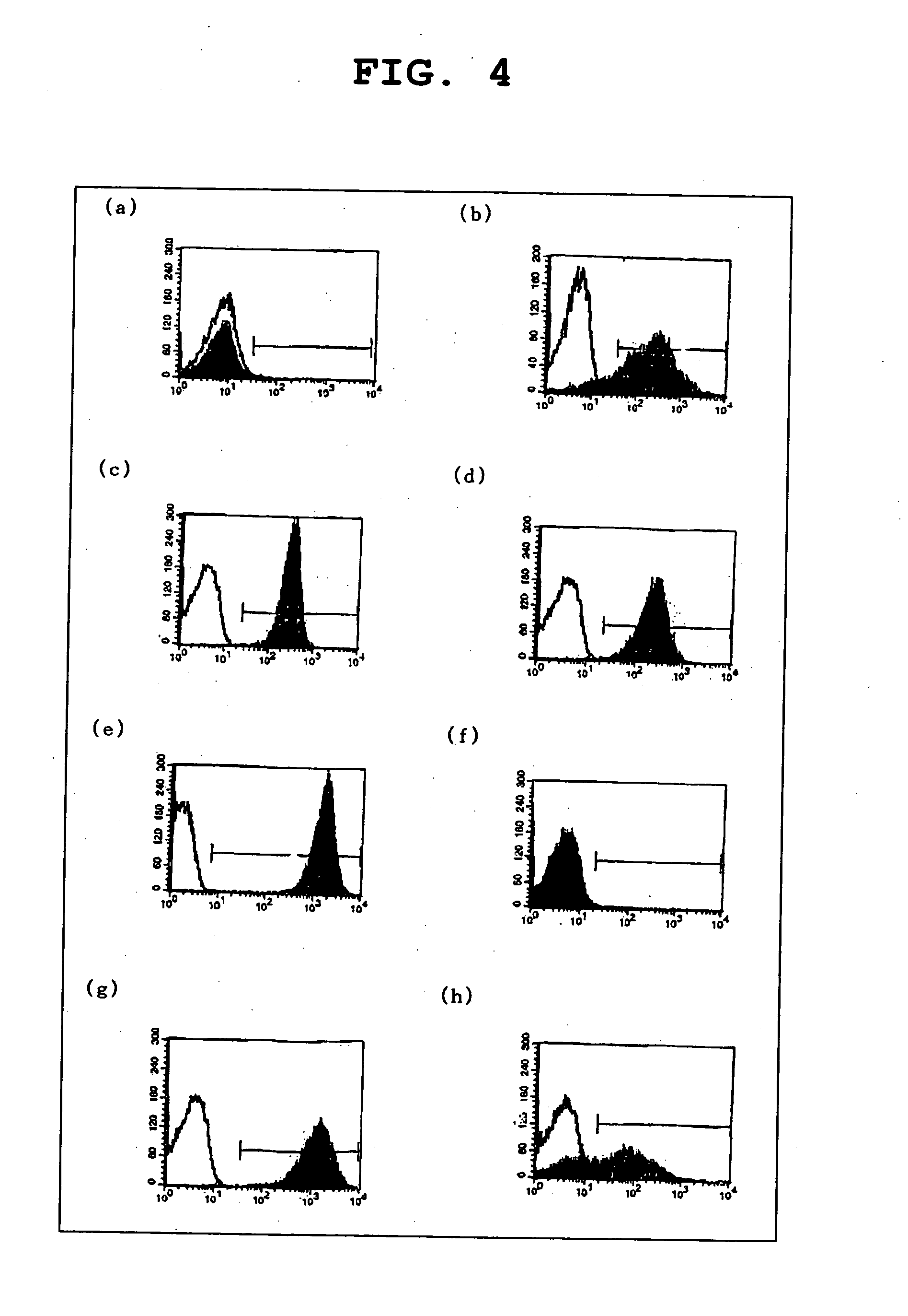 Process For Producing Multipotential Stem Cell Origination In Testoid Cell