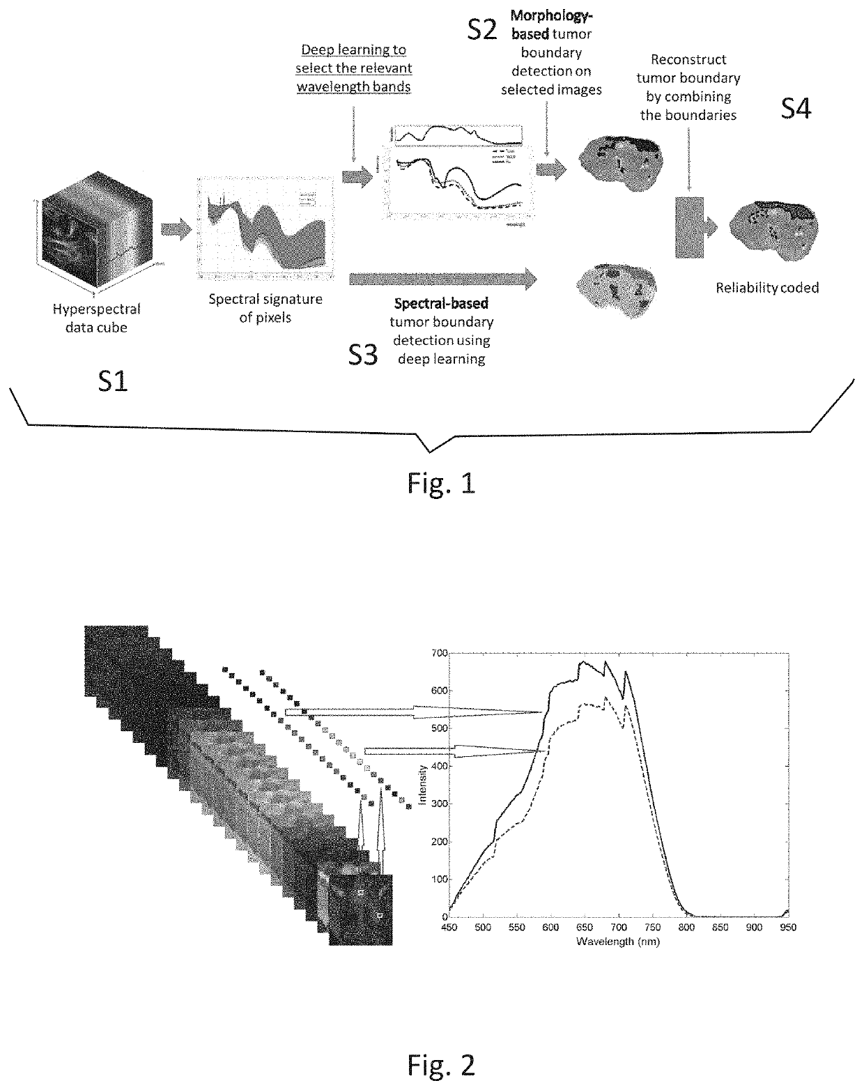 Tumor boundary reconstruction using hyperspectral imaging