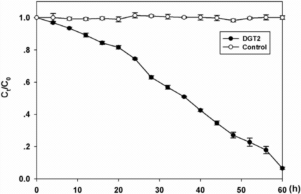 Dydrogesterone degrading bacterium and application thereof