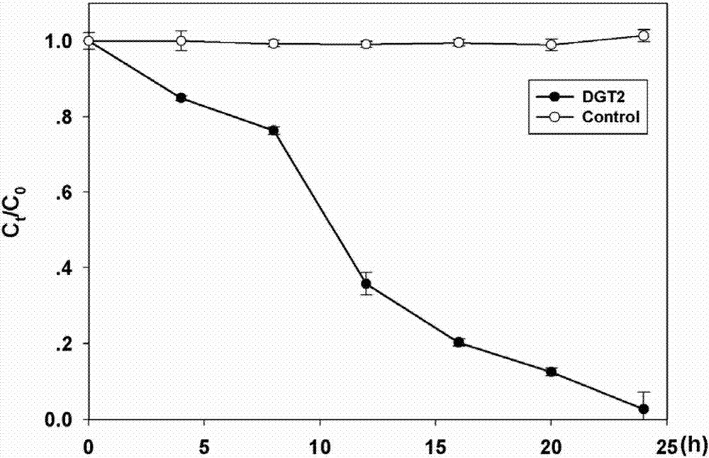 Dydrogesterone degrading bacterium and application thereof