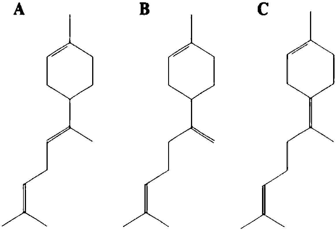 Yarrowia lipolytica capable of producing bisabolene and constructing method for yarrowia lipolytica and use of yarrowia lipolytica