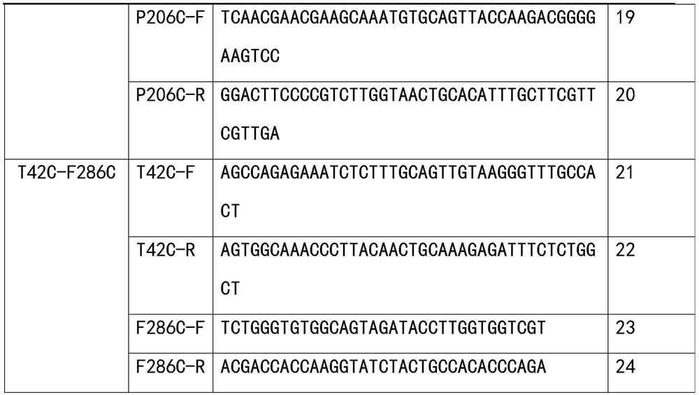 Glyceride lipase mutant G28C-P206C as well as coding gene and application thereof