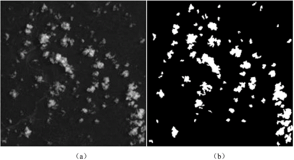 Method for modeling cumulus cloud scene based on Landsat8 satellite image