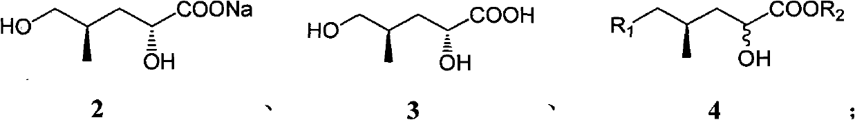 (4R)-4-methyl-2-carbonyl valerate compound, synthesizing method and application