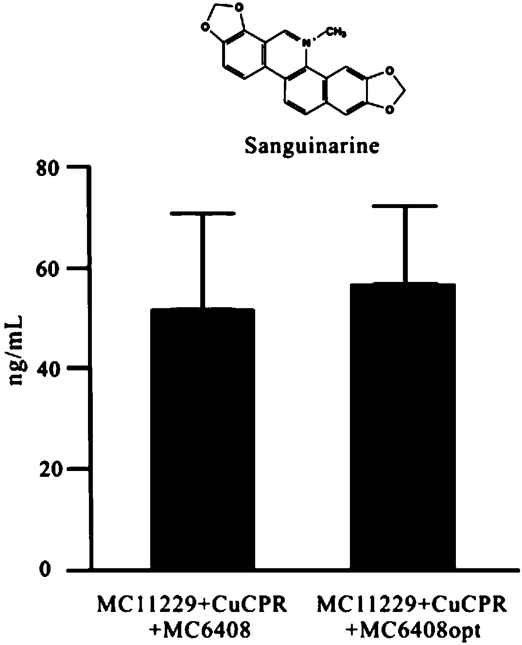 Method for efficient enzyme catalytic synthesis of sanguinarine and chelerythrine