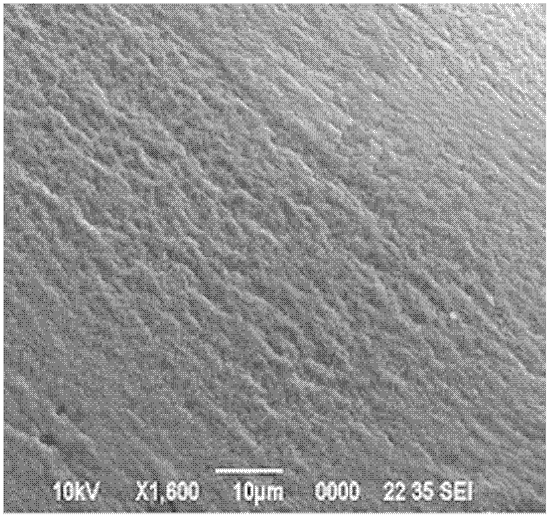 Mass spectrometric nano-spray electrode, manufacturing method and application thereof