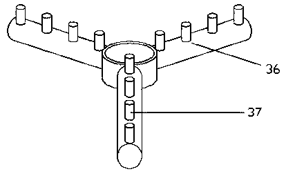 Shelling device for black soybeans