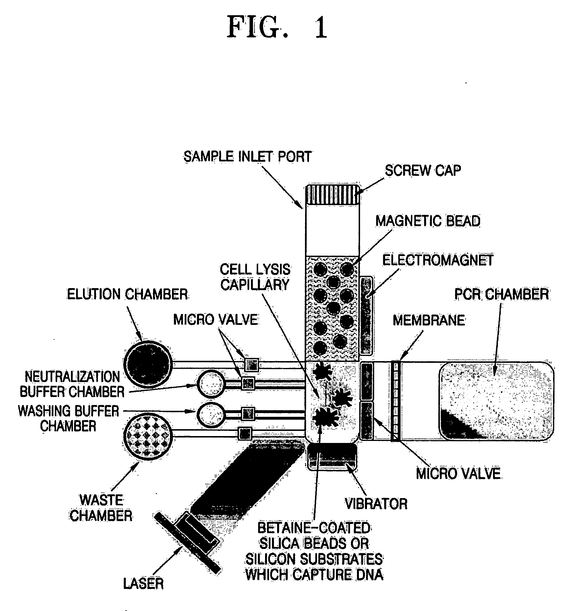 Apparatus for and method of purifying nucleic acids by different laser absorption of beads
