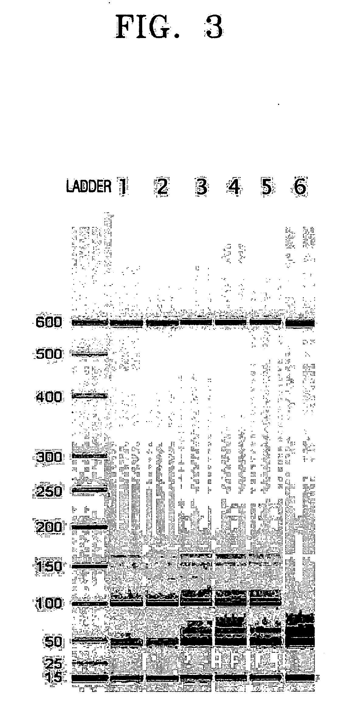 Apparatus for and method of purifying nucleic acids by different laser absorption of beads