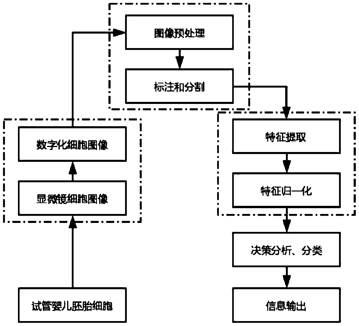 Embryonic tissue segmentation method based on generative adversarial network