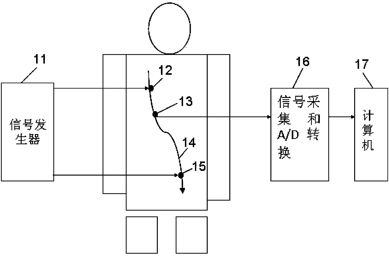 Human body meridian point positioning method based on genetic cluster