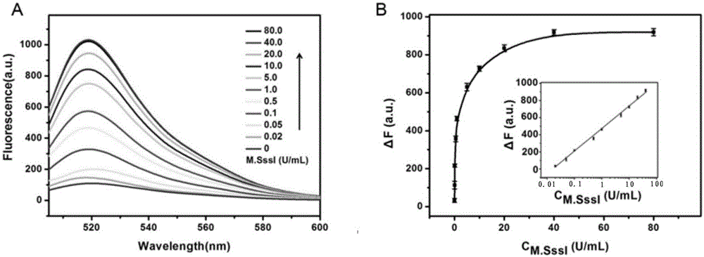 Method for detecting DAN methyltransferase activity based on strand displacement amplification and DNAzyme amplification