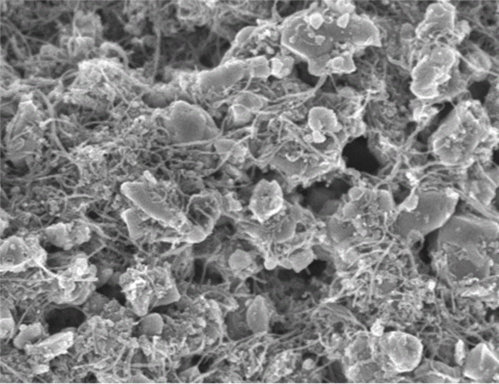 Carbon nanotube paste for lithium battery and preparation method for carbon nanotube paste
