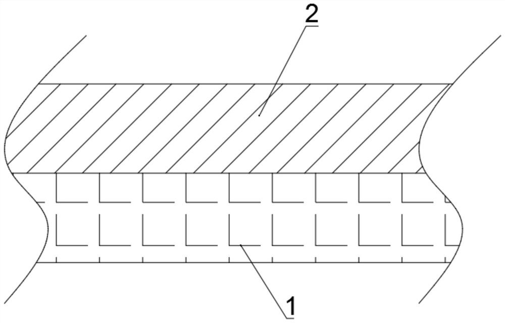 Solar backboard protective film and preparation process thereof