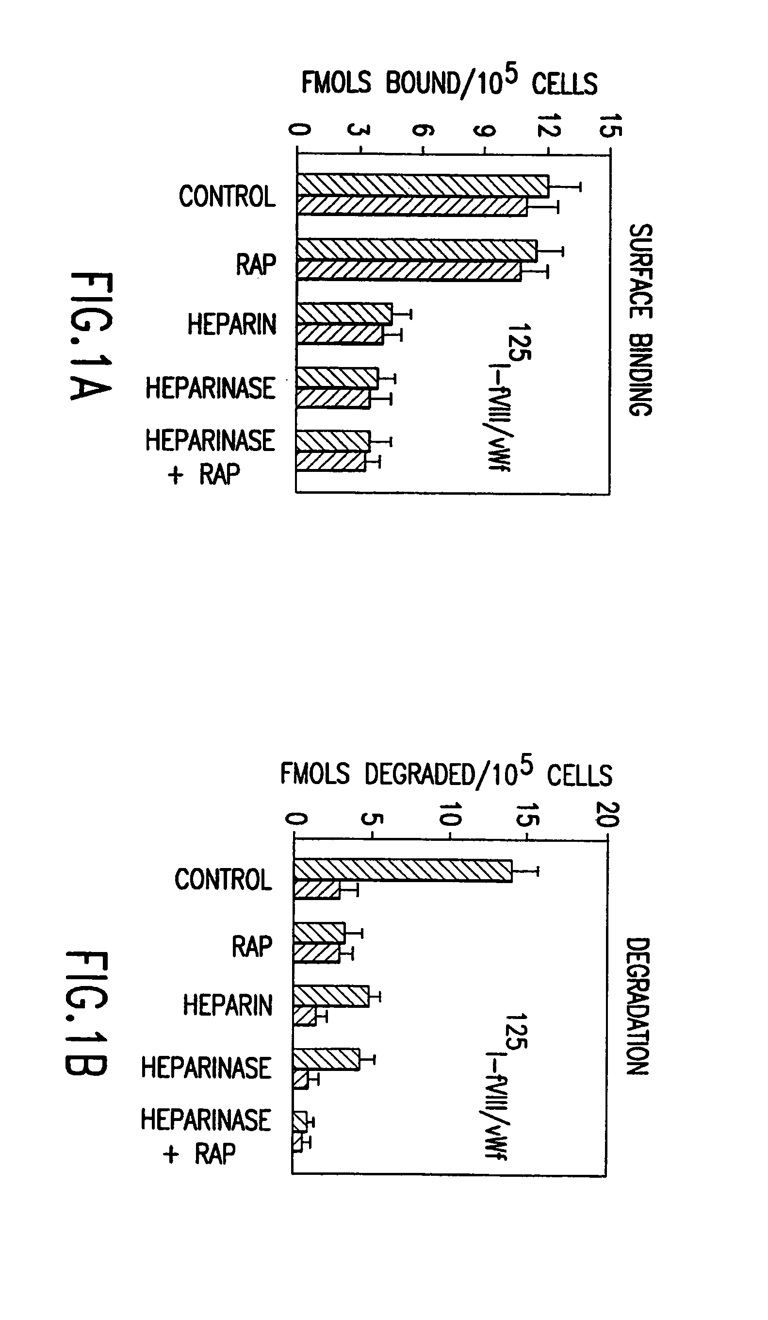 Factor VIII compositions and methods